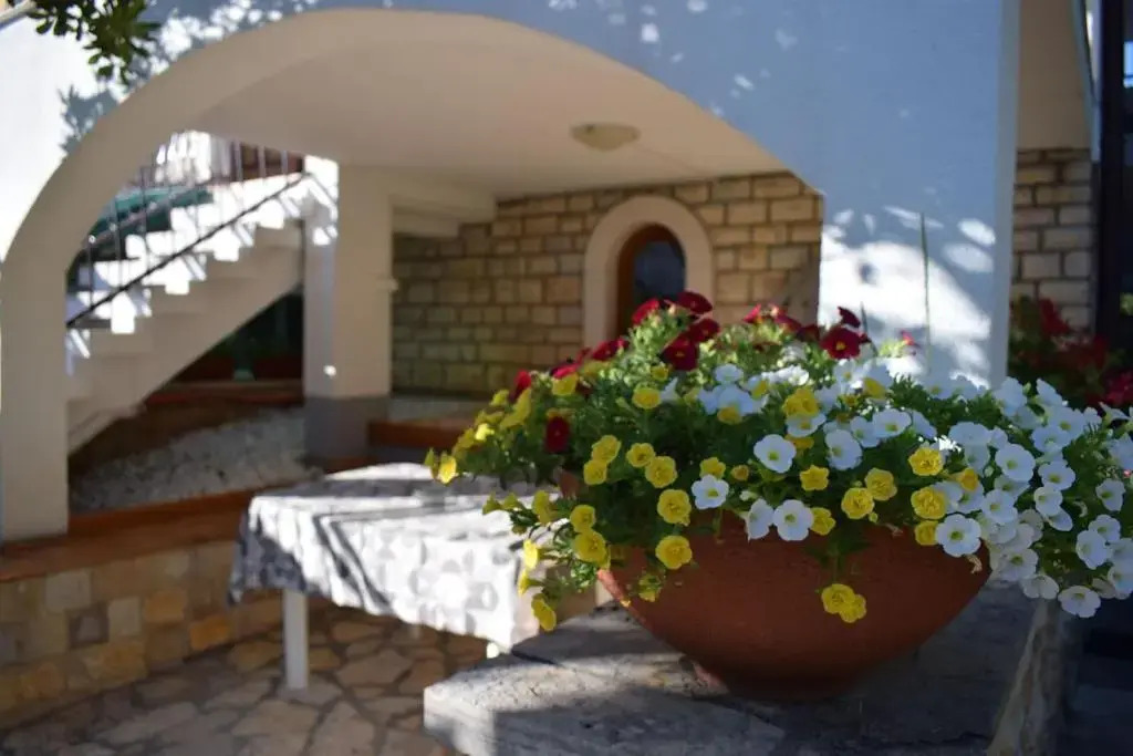Vila Jelena - Apartment for 4 to 5 persons in Sv Filip i Jakov