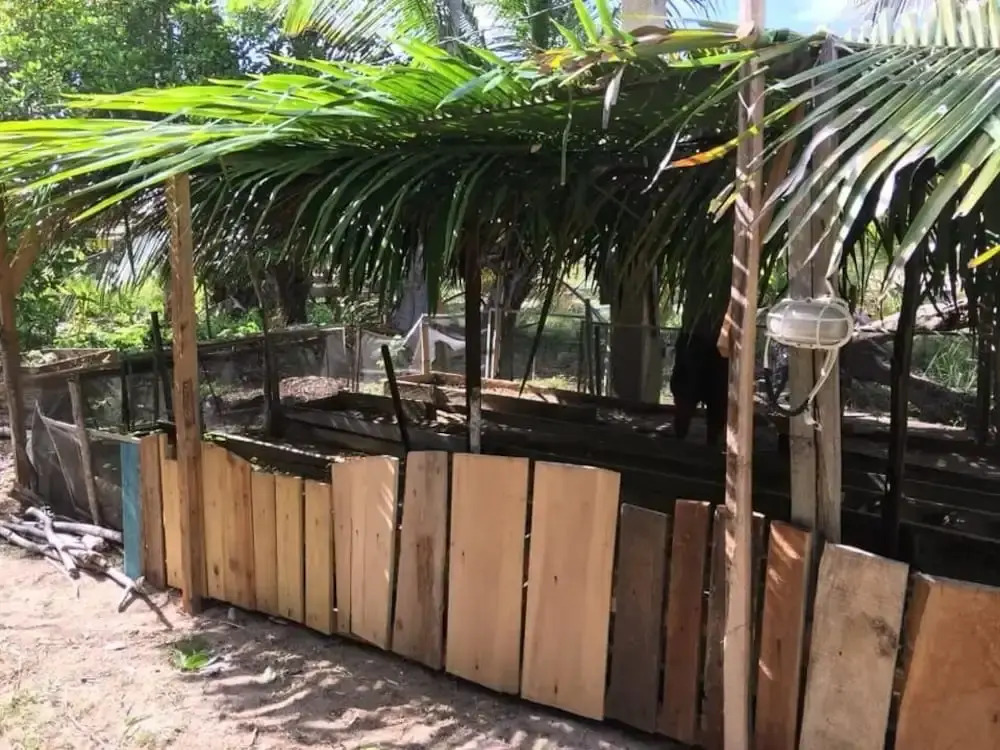 Jungle Jeanies Beach Cabanas