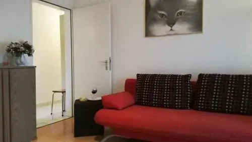 Casa Meister