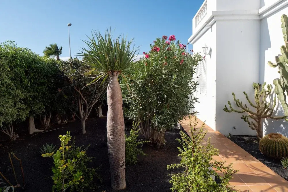 Casa Estano