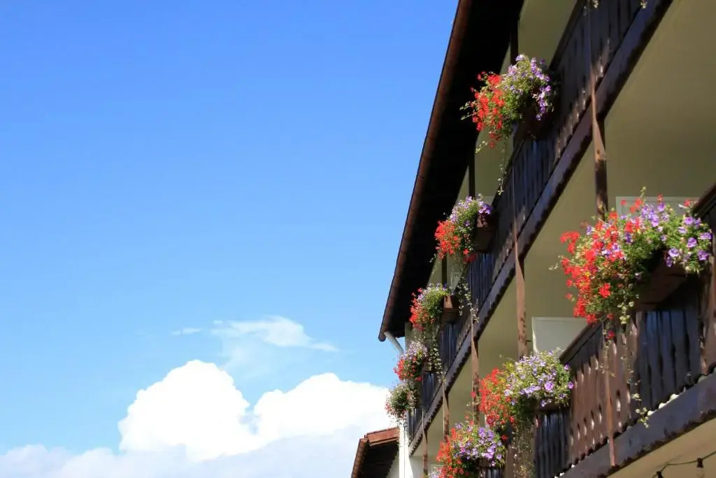 Hotel Alpenblick Berghof