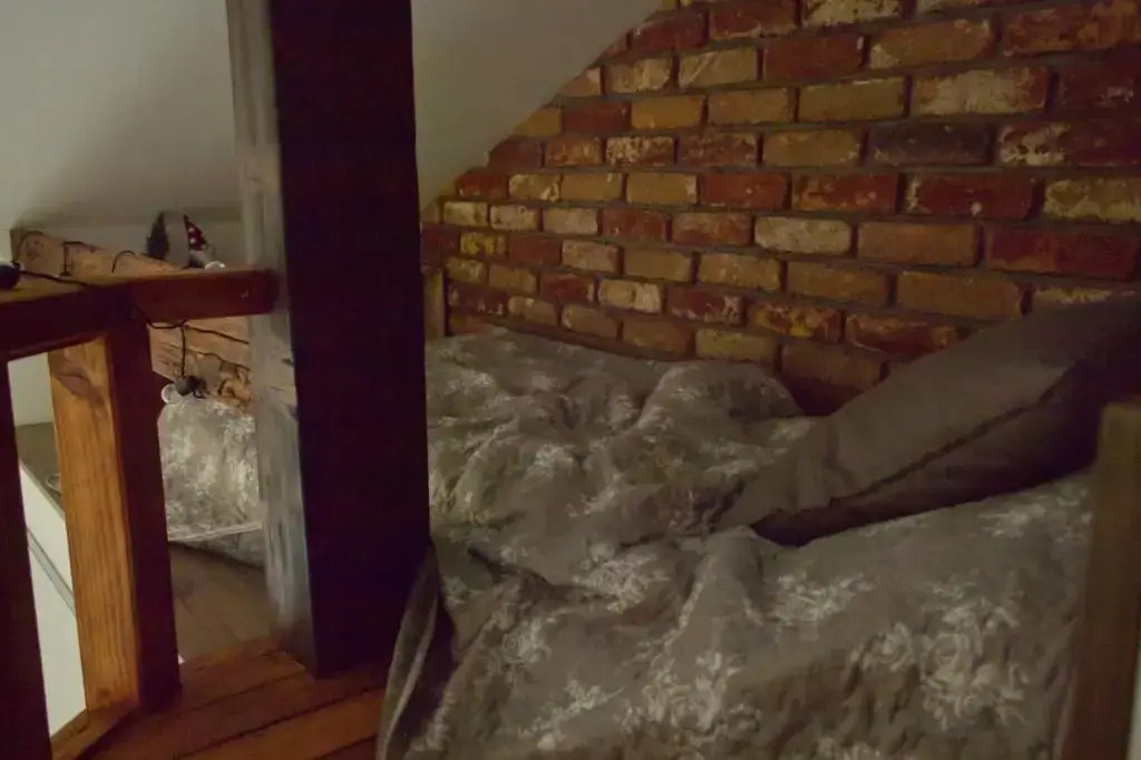 Attic 7