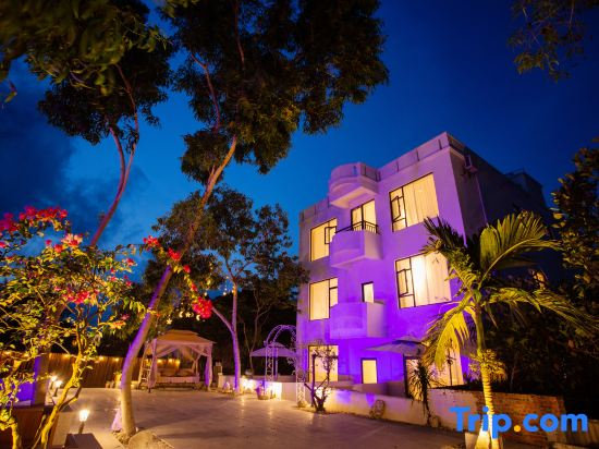 Shuxia · West Island No.1 Starry （Sea Island Camp Homestay）