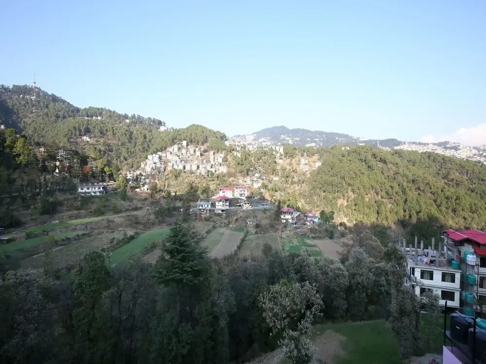 Shimla Hills Homestay by OYO Rooms