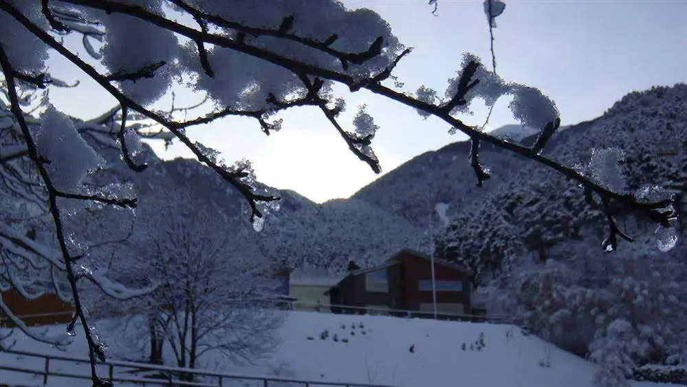Alberg la Comella