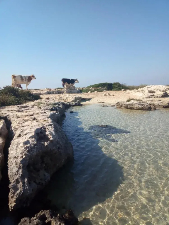 Villa Itaca