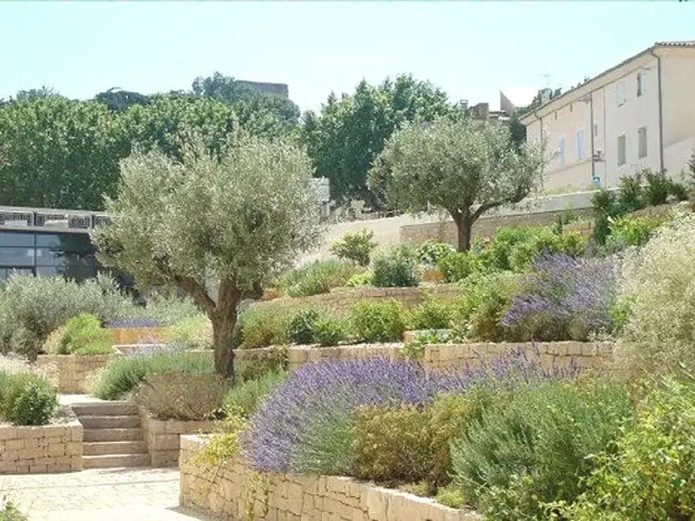 Gite Le Lavandin
