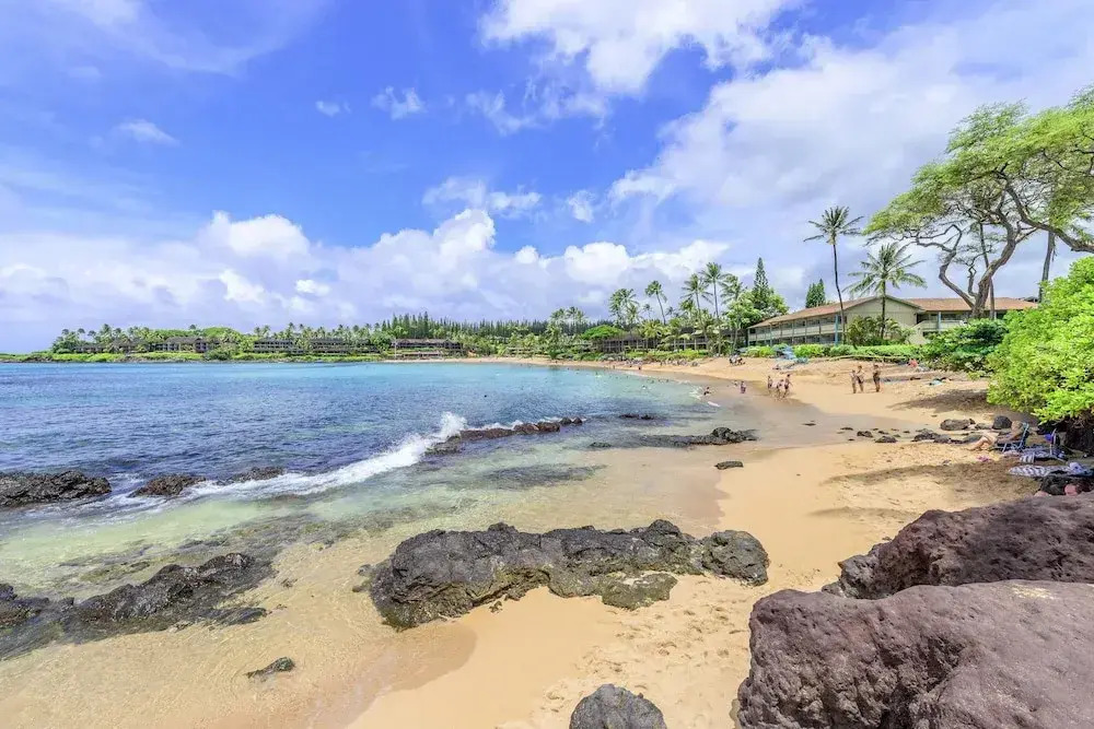 Napili Shores D229 Studio Bedroom Condo by RedAwning