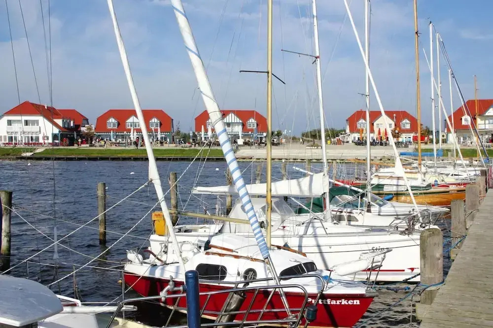 Starfish Holiday Home in Rerik Near Beach