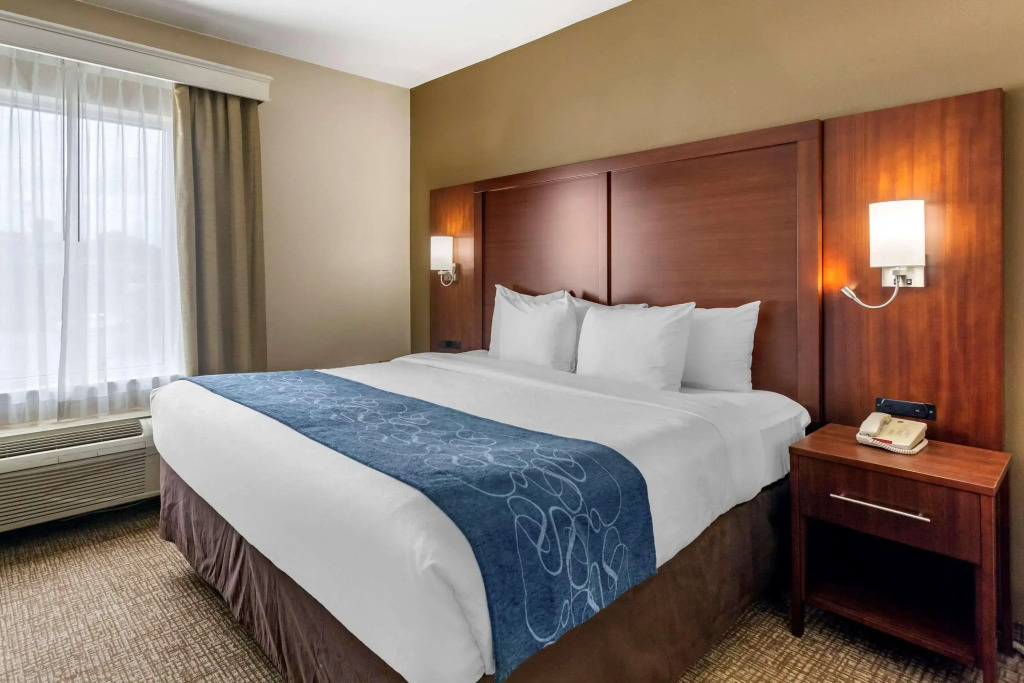 Comfort Suites Goodlettsville Rivergate