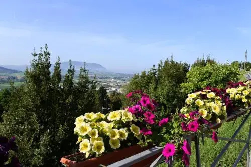 Hotel Loreto