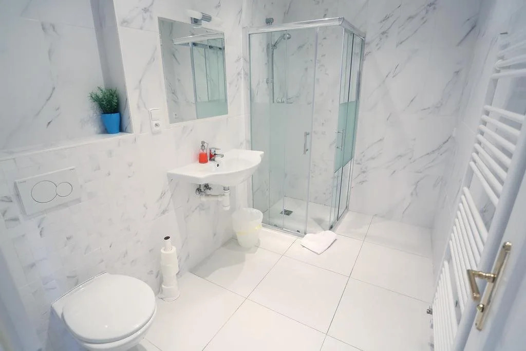 Apartments Pushkin