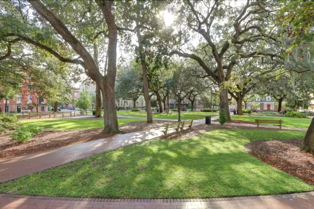 Savannah Oaks