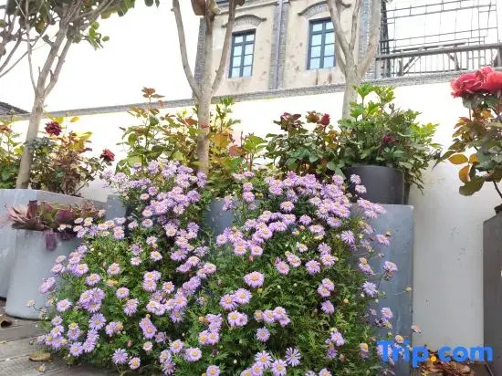 Youqi Boutique Hostel