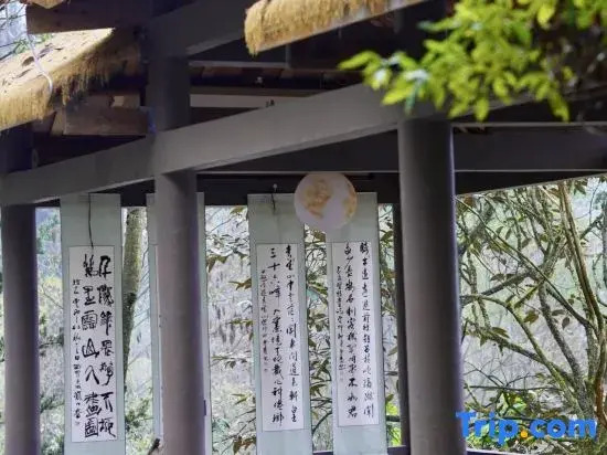 Jingshan Zhidu Forest Hot Spring B&B (Qingcheng Back Mountain Scenic Area Branch)