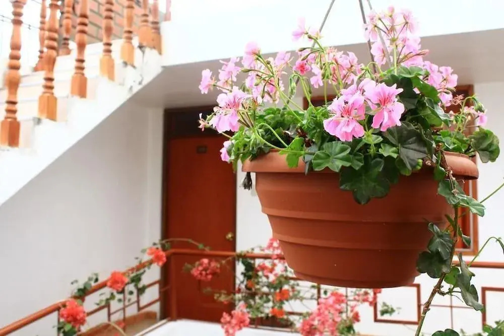 Amaru Hotel Huaraz