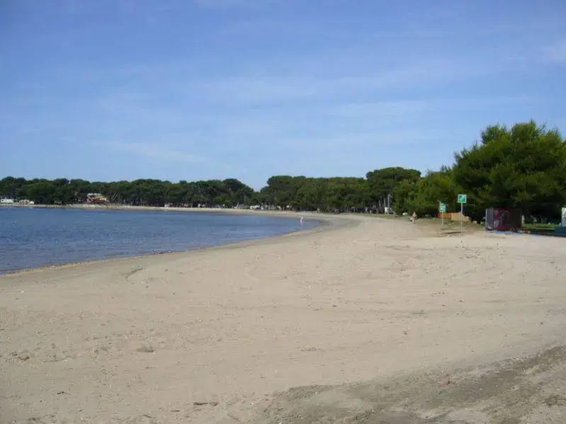 Catalina Apartments
