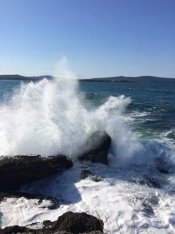 Laguna