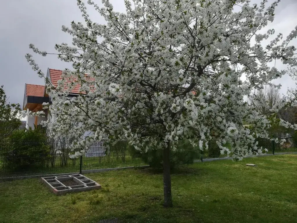 Nádasház