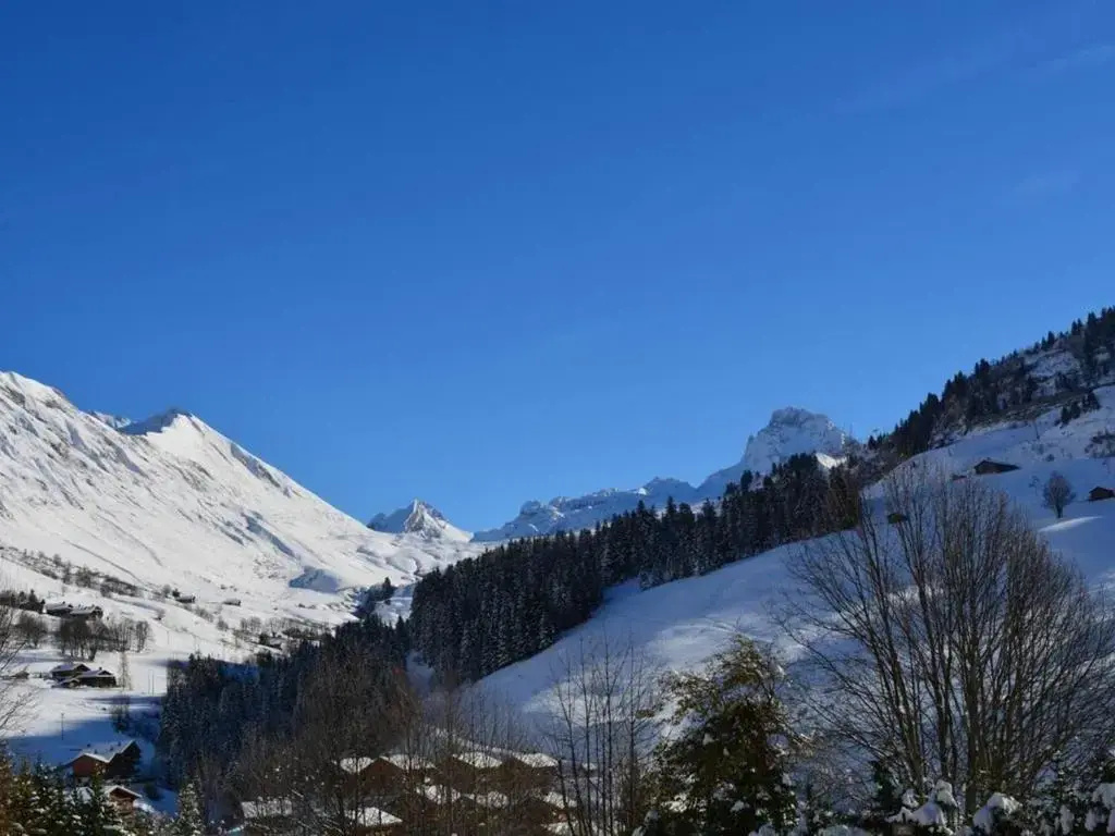 Appartement Le Grand-Bornand, 2 pièces, 6 personnes - FR-1-241-205