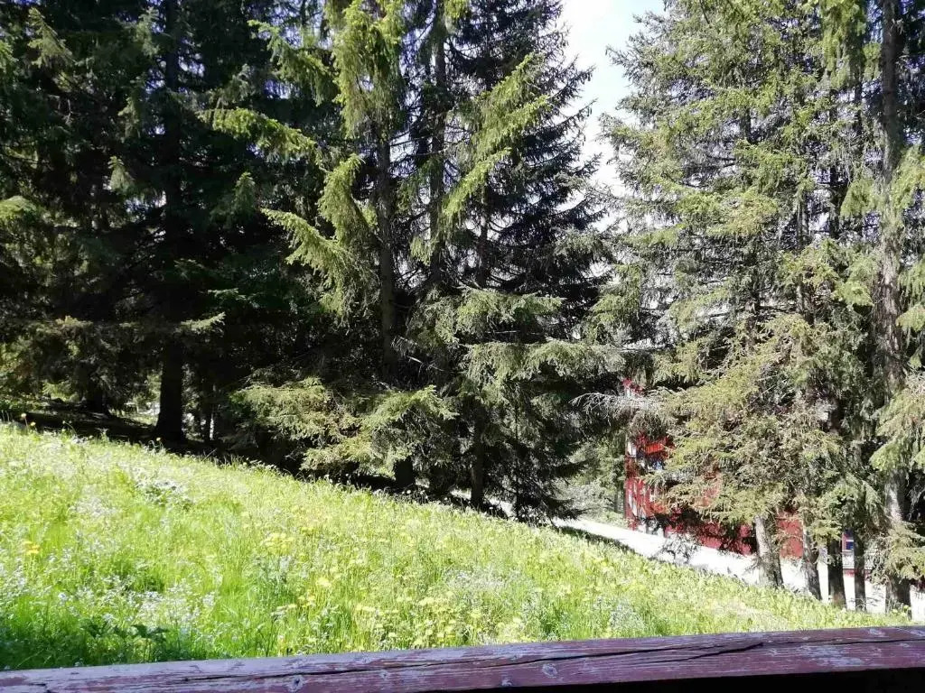 Appartement Les Arcs 1800, 1 pièce, 5 personnes - FR-1-411-209