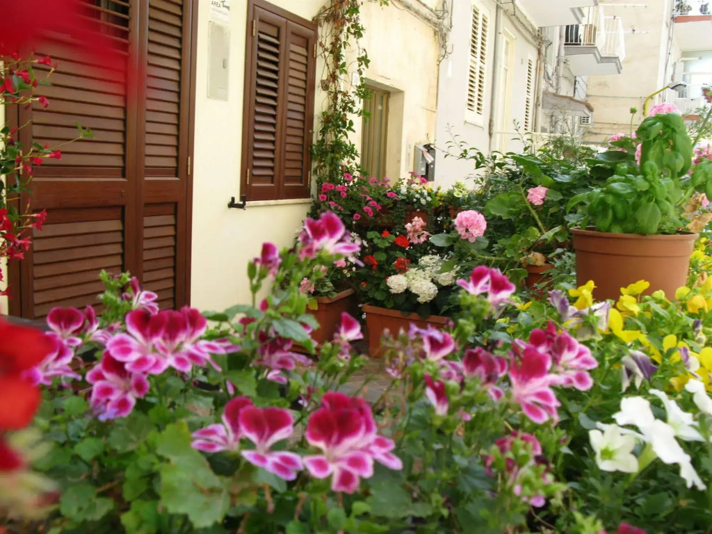 B&B Tranquillo