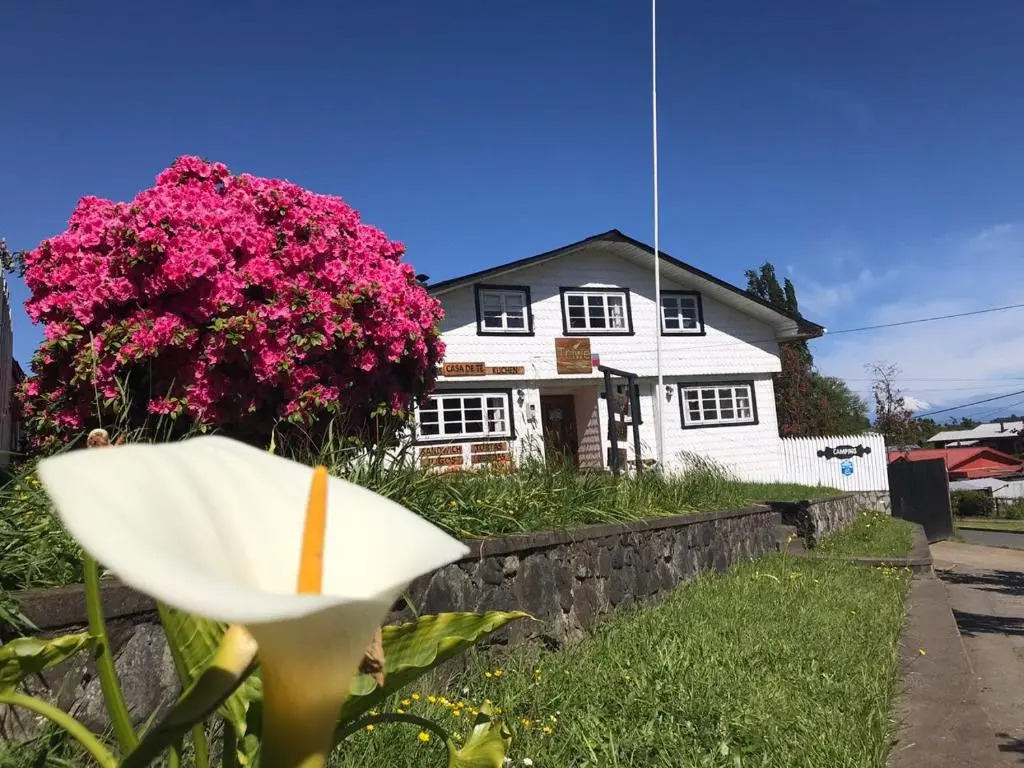 Hostal Triwe