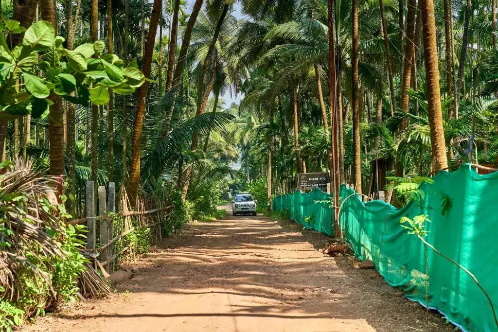 Tranquil Beach Resort