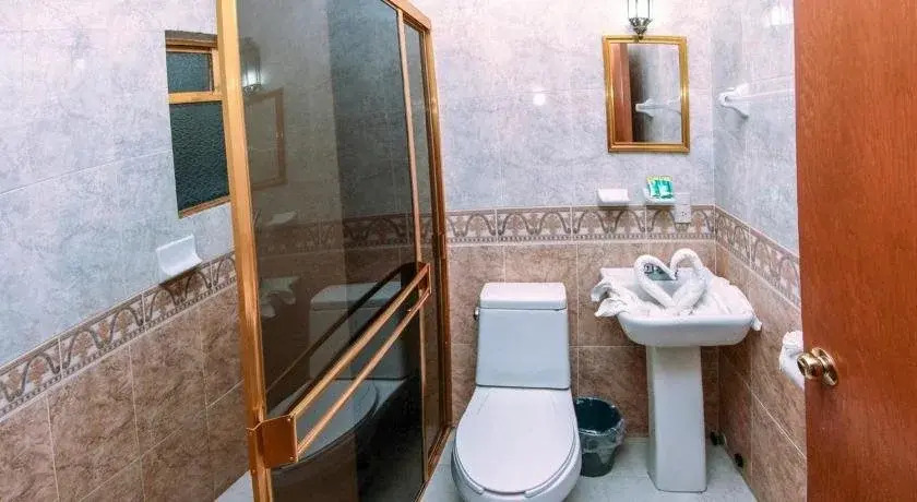 Hotel Plaza Baratillo