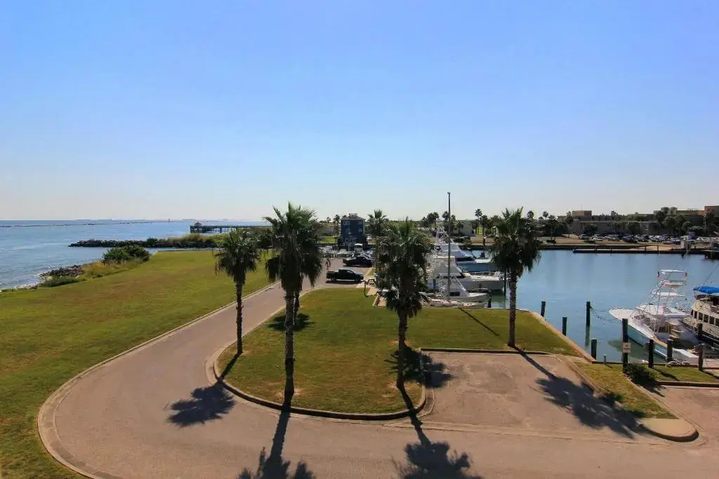 Channelview 205