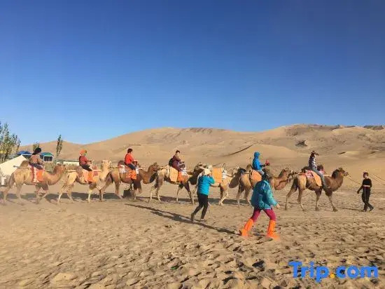 Dunhuang No.7 Lieyan Starry Sky Camping Base