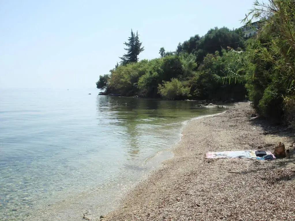 Pantazis Studios