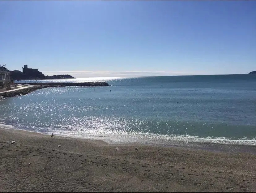 Blue Marine Beach Front - 011016-LT-0013
