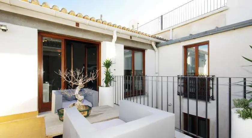 Valencia Luxury Ciutat Vella Penthouse