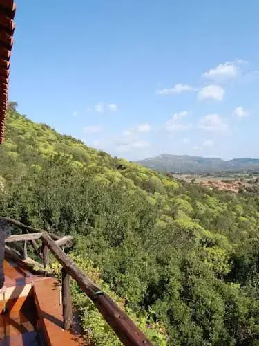 Appartamento Mimosa