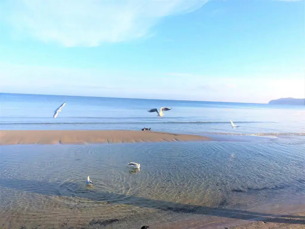 Strandvilla Gudrun zur Meerseite mit Balkon
