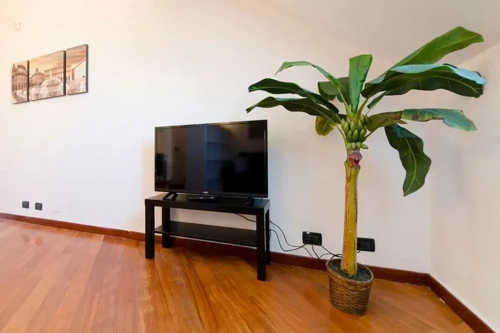 Hintown Privilege Flat