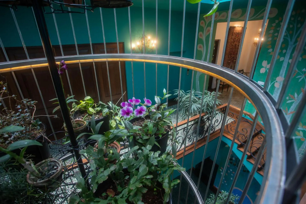 Kandy Dendrobium House