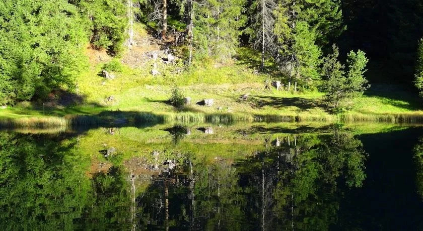 Chalet Eisenspitze