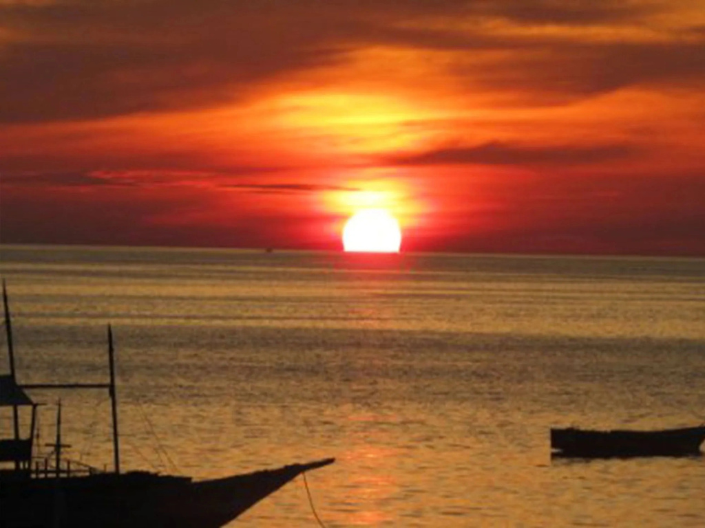 Purple Snapper Dive Resort