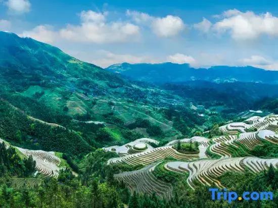 Muyi Panorama Homestay (Longji Rice Terraces Jinfodian Viewing Platform)