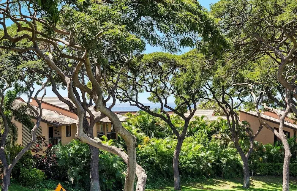 Palms At Wailea 604 2 Bedroom Condo