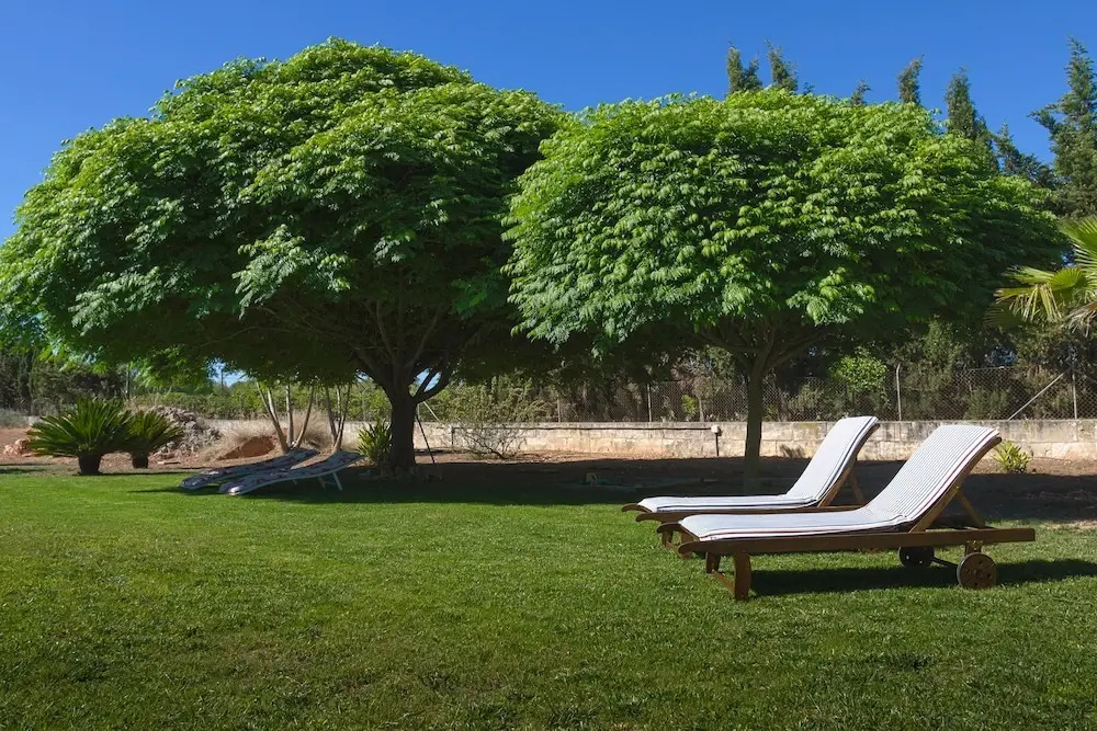 Finca Can Coll