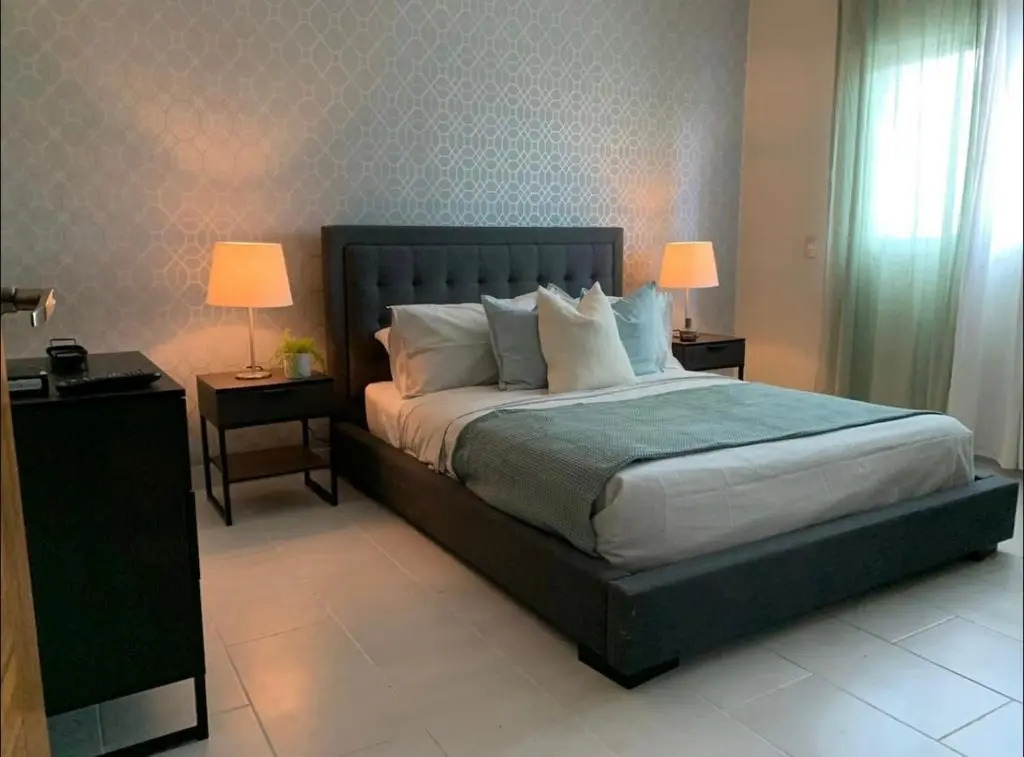 Cozy Apartament in Serrallés/Piantini #1