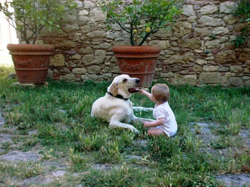 Podere Spedalone