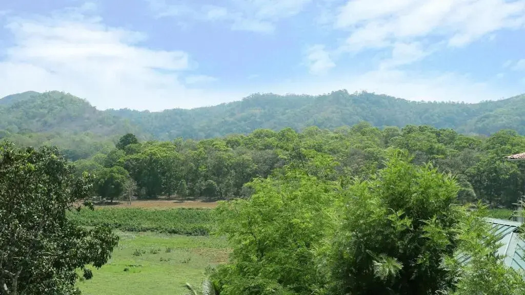 Hill Green