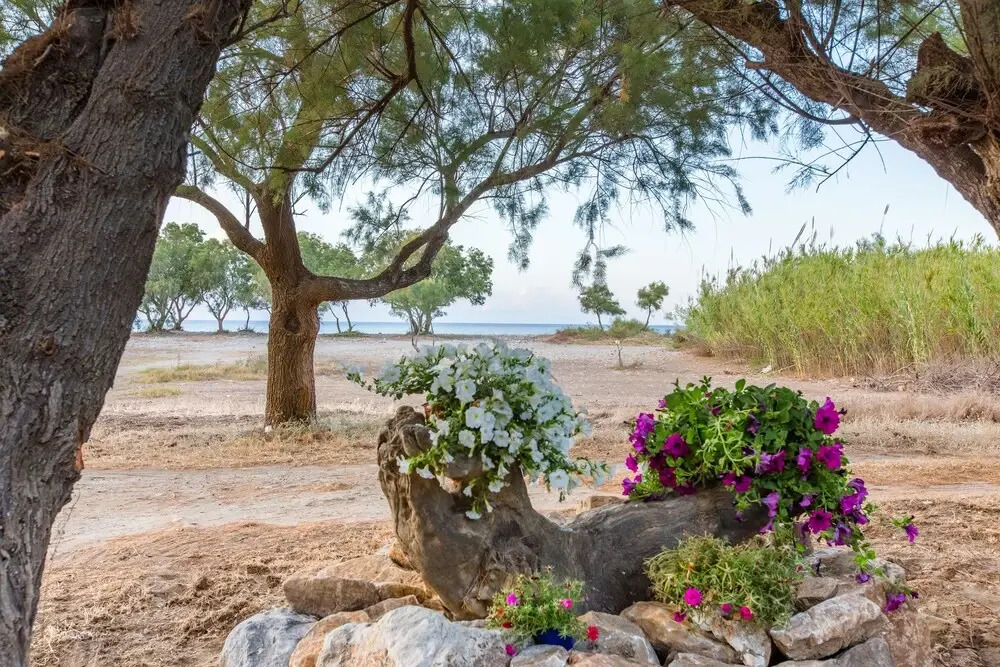 Aadonis traditional house on the Sea