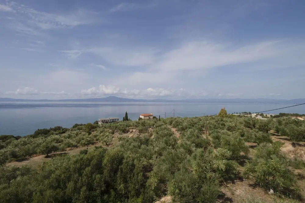 Villa Orea Elena
