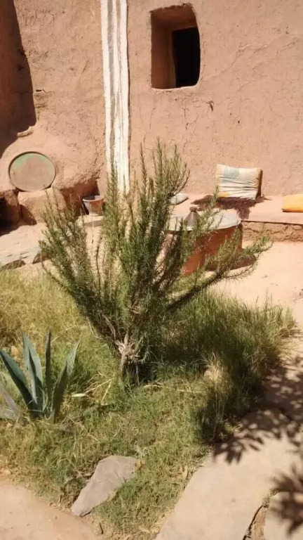 La maison saharaouie