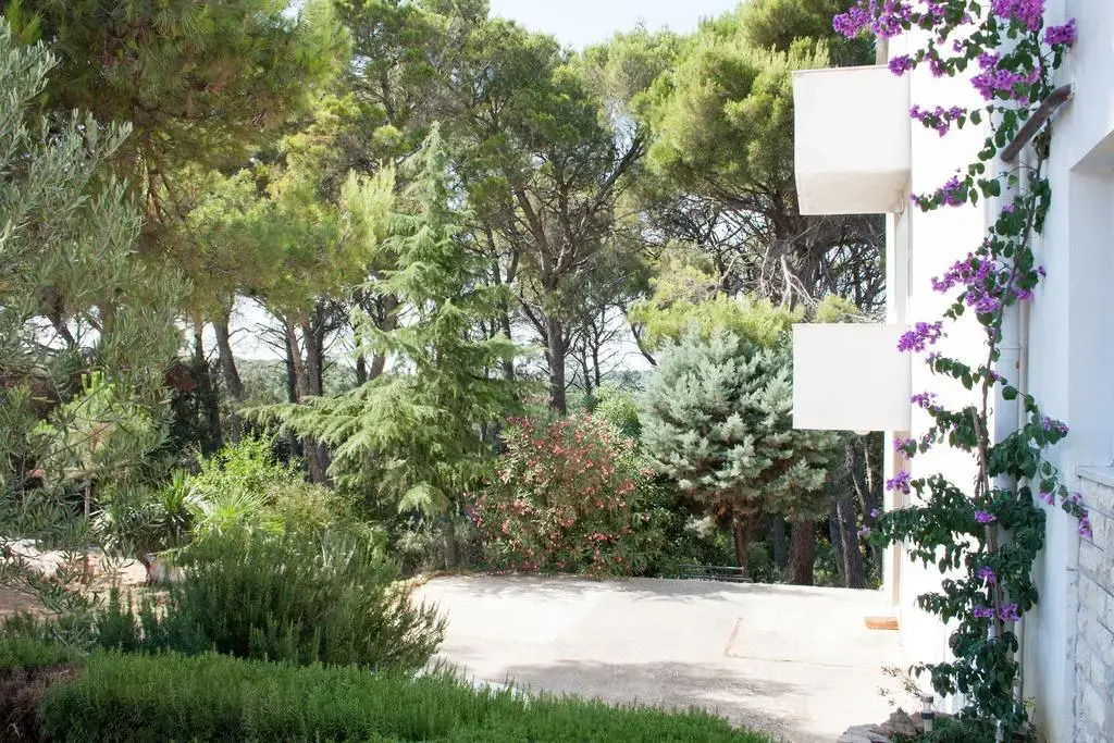 Holiday Home Pineta